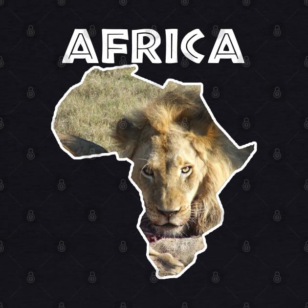 African Wildlife Continent Lion Stare by PathblazerStudios